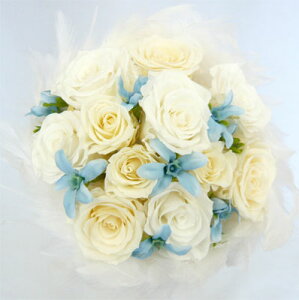 EGfBOu[P/uC_u[P/vU[uht[/t@[u[PCu[X^[2