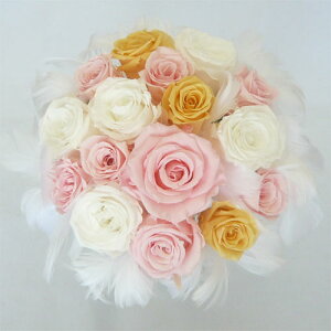 vU[uht[/EGfBOu[P/t@[u[P43@sNIWzCg