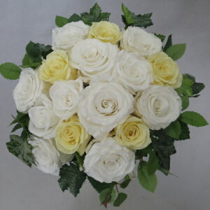 vU[uht[/EGfBOu[P/uC_u[P/O[u[P zCg\tgCG[