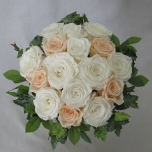 vU[uht[/EGfBOu[P/uC_u[P/O[u[P zCgs[`