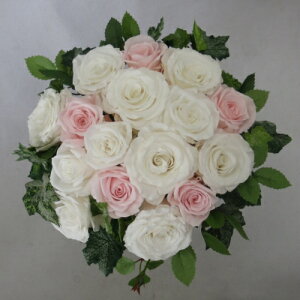 vU[uht[/EGfBOu[P/uC_u[P/O[u[P zCgsN