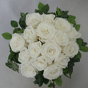 vU[uht[/EGfBOu[P/uC_u[P/O[u[P zCg