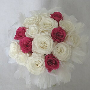 vU[uht[/EGfBOu[P/uC_u[P/t@[u[P zCgt{[Y