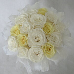 vU[uht[/EGfBOu[P/uC_u[P/t@[u[P zCg\tgCG[