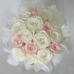 vU[uht[/EGfBOu[P/uC_u[P/t@[u[P zCgsN