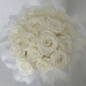 vU[uht[/EGfBOu[P/uC_u[P/t@[u[P zCg