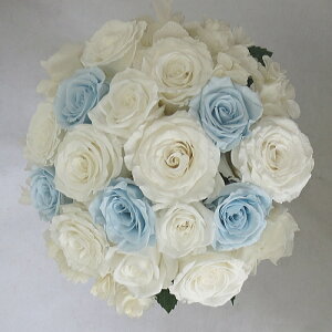 vU[uht[/EGfBOu[P/uC_u[P/AWTCu[P zCgpE_[u[