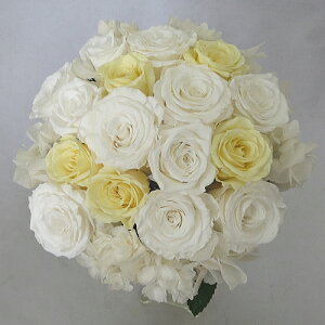 vU[uht[/EGfBOu[P/uC_u[P/AWTCu[P zCg\tgCG[