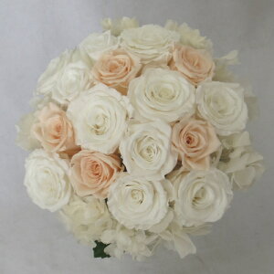 vU[uht[/EGfBOu[P/uC_u[P/AWTCu[P zCgs[`