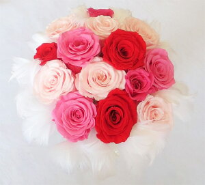 yEGfBOu[PzyuC_u[Pzt@[u[P@52@sNbh