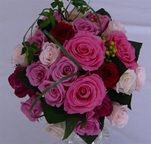 EGfBOu[P/uC_u[P/vU[uht[/vZXsN@Ehu[Pysmtb-tkz