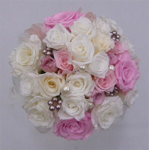 EGfBOu[P/uC_u[P/vU[uht[/CgsNu[Pysmtb-tkz