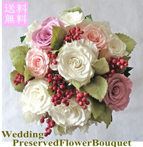 yEGfBOu[PzyuC_u[PzvU[uht[oƃx[̃Ehu[Pysmtb-tkz