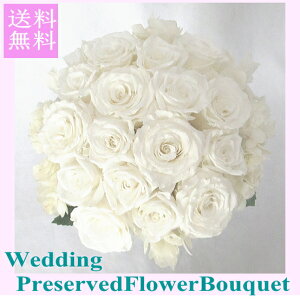 vU[uht[/EGfBOu[P/uC_u[P/AWTCu[P zCg