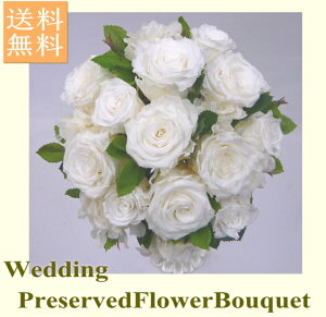 EGfBOu[P/uC_u[P/vU[uht[/oEhu[Pysmtb-tkz