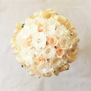 vU[uht[/EGfBOu[P/uC_u[P/zCgs[` {u[P