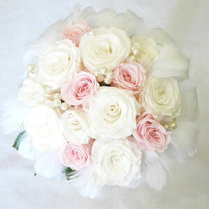 EGfBOu[P/uC_u[P/vU[uht[/t@[u[P@54 (sNFj