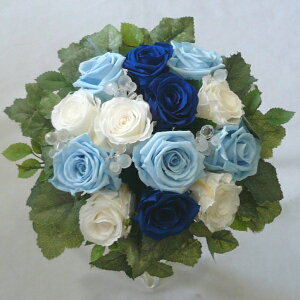 EGfBOu[P/uC_u[P/vU[uht[/O[u[P/u[zCgu[P