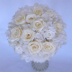 EGfBOu[P/uC_u[P/vU[uht[/ӂӂ킠Ehu[Pysmtb-tkz