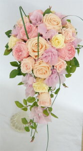 Ă܂胍[YsNAWTCLXP[hu[PyEGfBOu[Pz