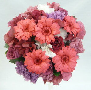 vU[uht[/K[xEJ[l[VsNEhu[Pip[vsNjyEGfBOu[PzyuC_u[Pz