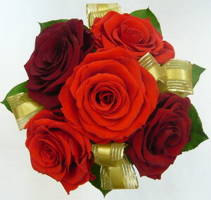 EGfBOu[P/uC_u[P/vU[uht[/v~A[Y@CgAeB[Nbhu[Pysmtb-tkz