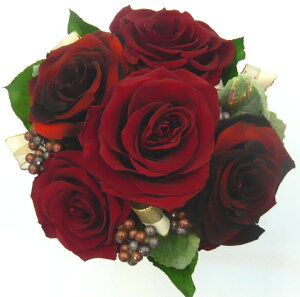 EGfBOu[P/uC_u[P/vU[uht[/v~A[Y@{h[AeB[Nbhu[PyuC_u[Pz