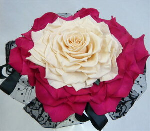 EGfBOu[P/uC_u[P/vU[uht[/[YAu[P@s[`R[sNysmtb-tkz