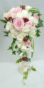 yEGfBOu[Pz[WsN~joƃp[̃LXP[hu[Pysmtb-tkz