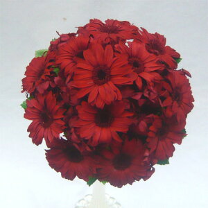 vU[uht[u[P@ uC_u[P ԃK[xEhu[PyuC_u[Pz