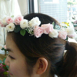 EGfBOu[P/uC_u[P/wbhԁ@zCgsN@Ԃނ