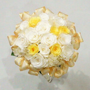 vU[uht[/EGfBOu[P/uC_u[P/zCgCG[ {u[P