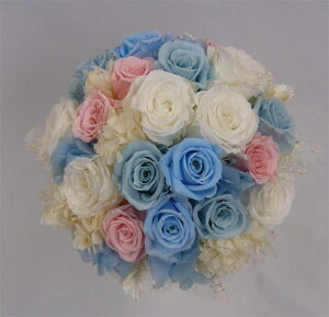 yEGfBOu[PzyuC_u[PzvU[uht[@sNu[[Yu[Pysmtb-tkz