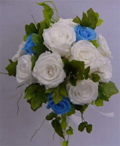 uC_u[P@vU[uht[@zCgu[u[P