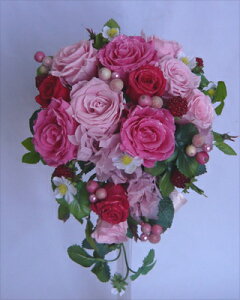 yEGfBOu[PzuC_u[P@vU[uht[@R[sNsN[YZ~LXP[hysmtb-tkz