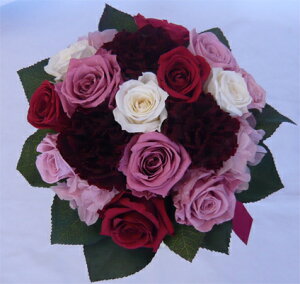 yEGfBOu[PzyuC_u[PzvU[uht[@Nx[X[L[sÑEhu[Pysmtb-tkz