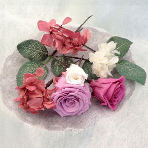 vU[uht[EwAANZT[/\eB*sortie*ywbhhXzP[Xt