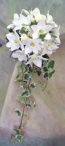 EGfBOu[P/[`XLXP[hu[Pysmtb-tkz