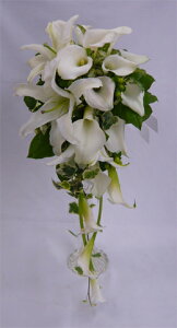 EGfBOu[P/J[@LXP[hu[Pysmtb-tkz