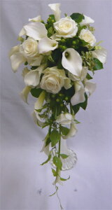 EGfBOu[P/J[oLXP[hu[Pysmtb-tkz