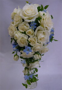 EGfBOu[P/ oAu[ԁ@LXP[hu[Pysmtb-tkz