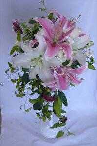 EGfBOu[P/X{kZ~LXP[hu[Pysmtb-tkz