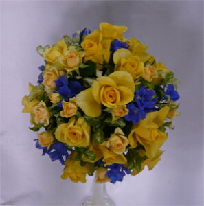 EGfBOu[P/oEu[ftB[@Ehu[Pysmtb-tkz