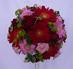 EGfBOu[P/ԁEsNK[xEhu[P&u[gjAysmtb-tkz