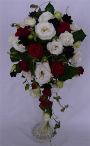 EGfBOu[P/ԃogRLLELXP[hu[Pu[gjAysmtb-tkz