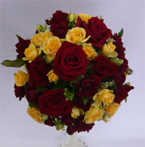 EGfBOu[P/ԁEoEhu[Pysmtb-tkz