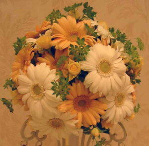 EGfBOu[P/WK[xEhu[Pu[gjAysmtb-tkz