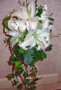 EGfBOu[P/LXP[hu[Pysmtb-tkz