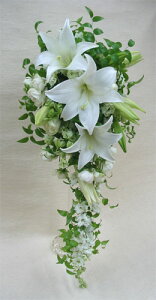 EGfBOu[P/SCLXP[hu[Pysmtb-tkz