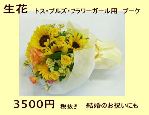 EGfBOu[P/gXu[P@Ђ܂u[P